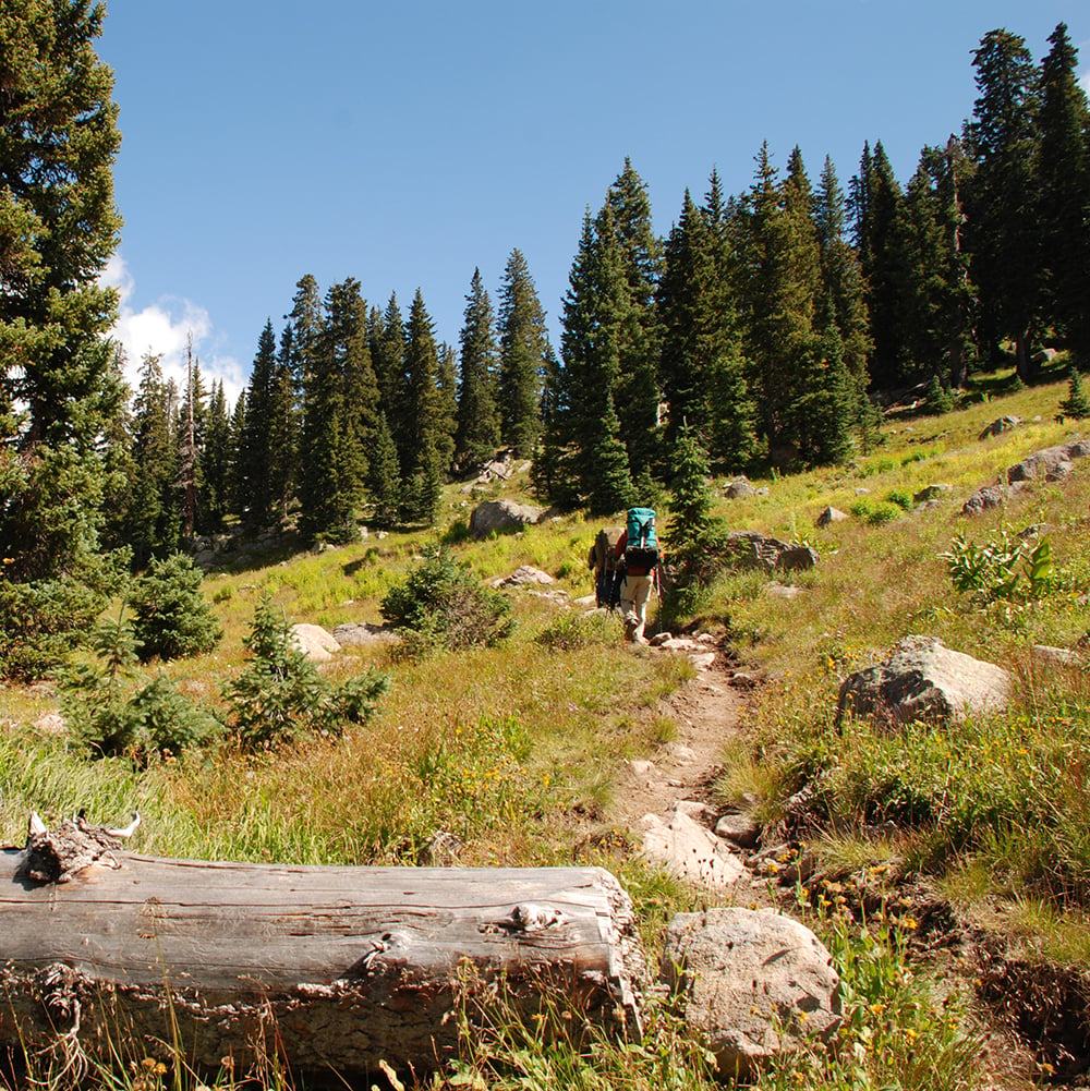 Two backpackers hike uphill on a dirt trail through a sunlit mountain landscape, featuring tall pine trees, grassy slopes, scattered rocks, and a foreground fallen log.
