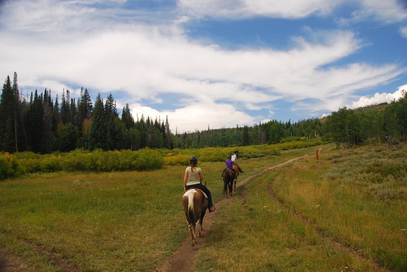 Three people ride horses along a dirt path through a grassy mountain meadow bordered by evergreen and deciduous trees, under a partly cloudy sky.