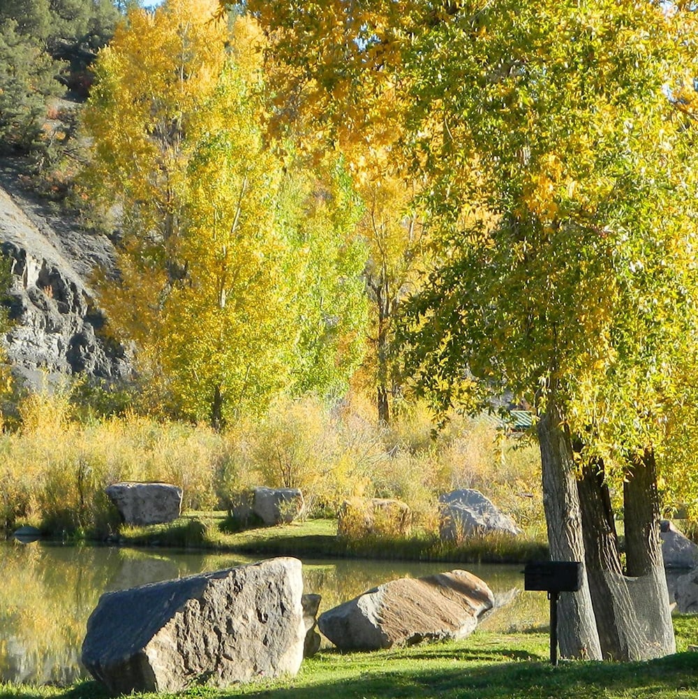 Yellow-leaved trees brightly stand over a tranquil pond reflecting the autumn sky, with large rocks on grassy banks and a rocky hillside in the background.