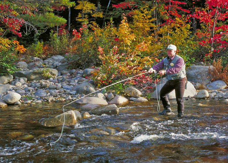 A man fly-fishing, casting his line while standing in a rocky river. Colorful autumn trees with red and yellow foliage line the banks.