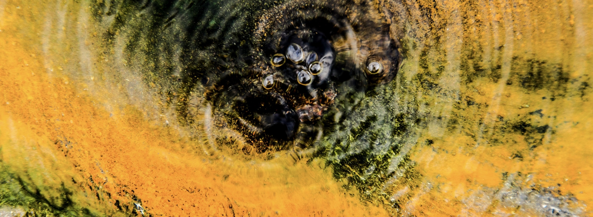Photo of a mineral formation at The Springs Resort