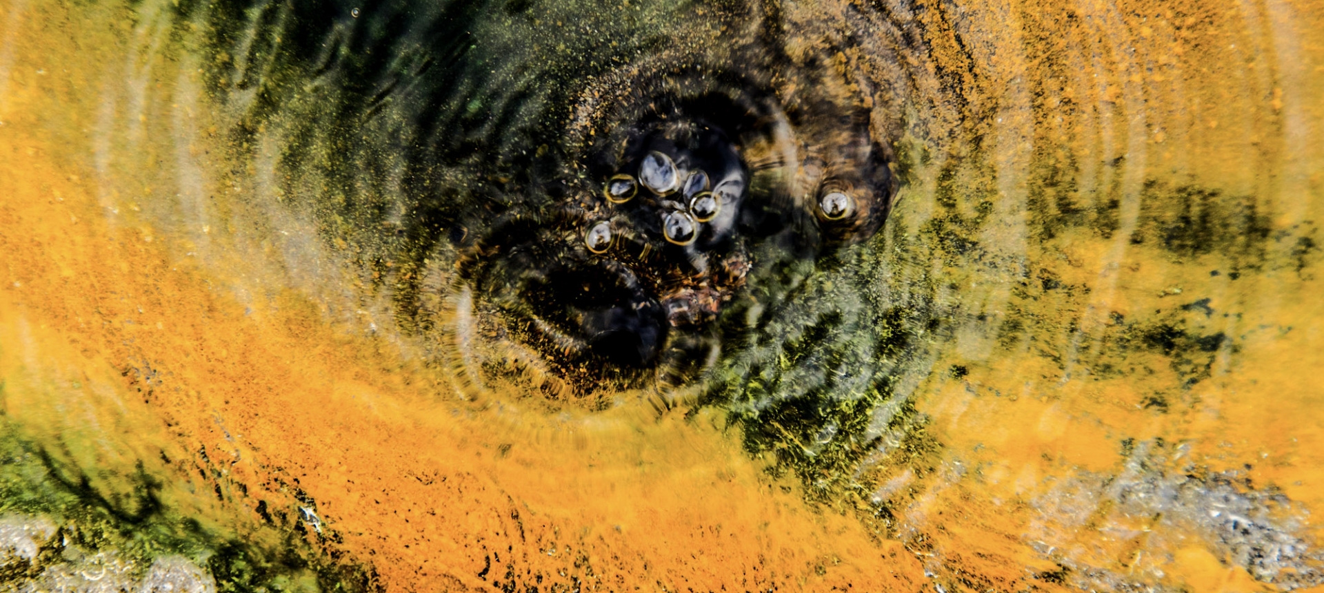 Photo of a mineral formation at The Springs Resort