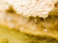 A wide shot of water drops falling from a rock