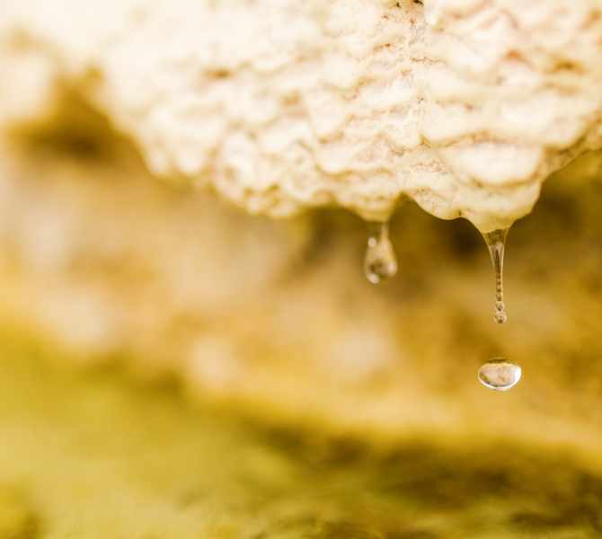 A wide shot of water drops falling from a rock