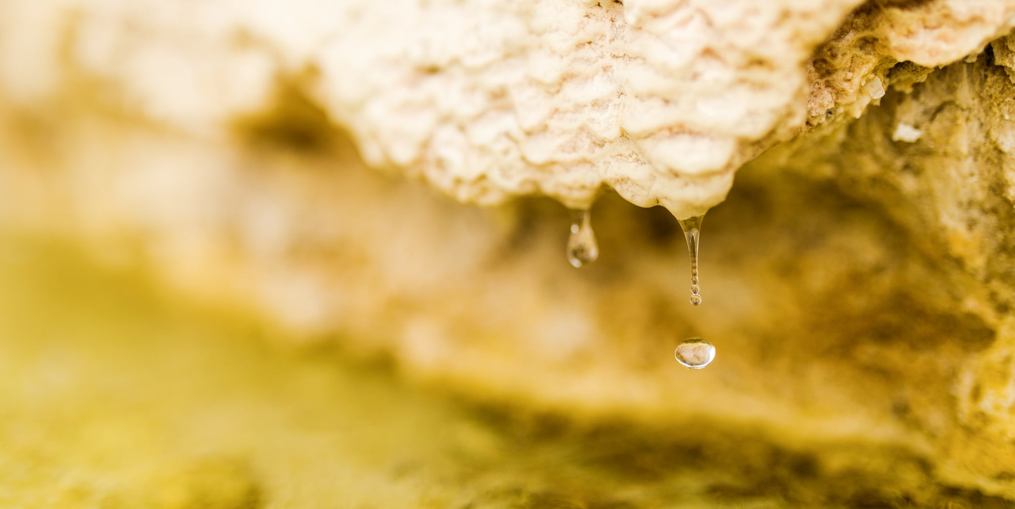 A white-gold mineral formation drips clear water droplets from its textured surface, hanging above a blurred, yellow-gold background.
