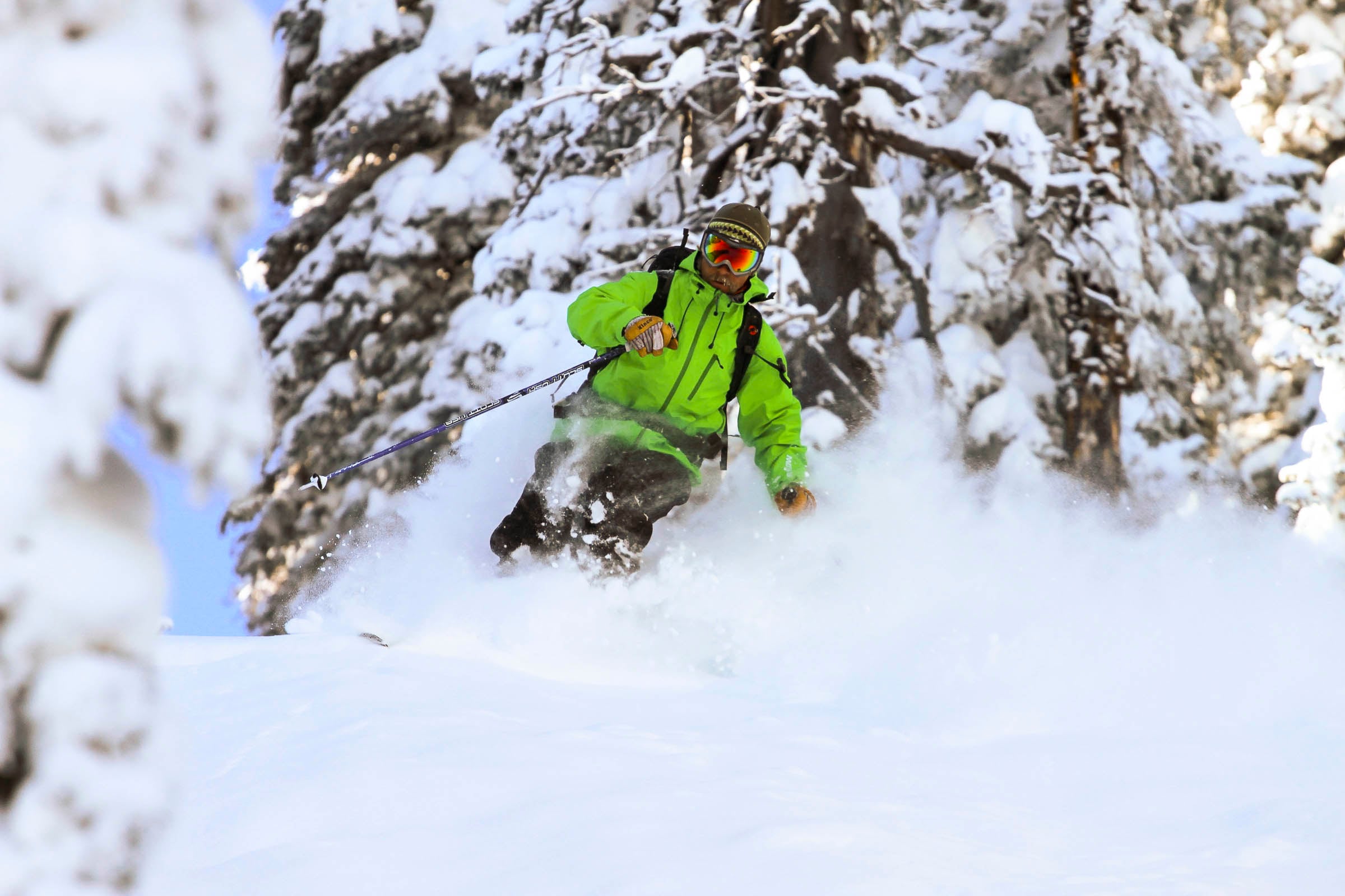 A male skier in a neon green jacket, wearing KING gloves and holding SCOTT USA COMP ski poles, carves down a snowy slope, kicking up a plume of powder, surrounded by snow-laden pine trees under a clear blue sky.