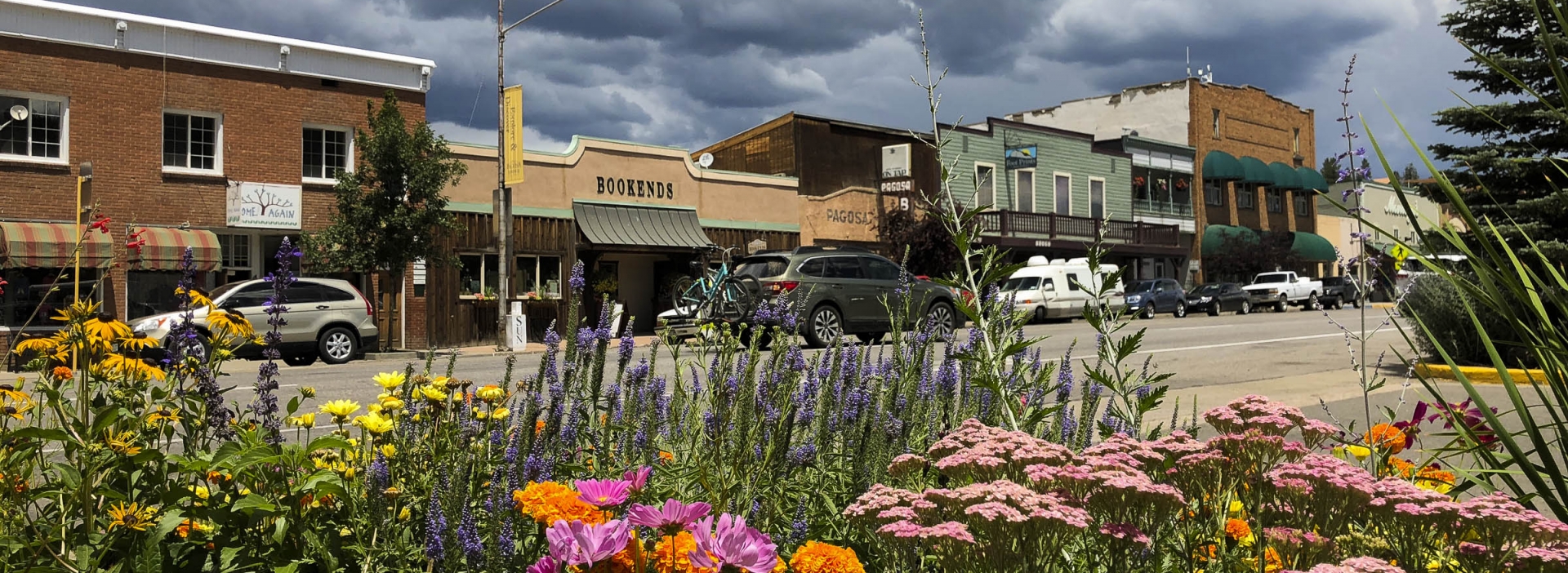 flower bed next to a street