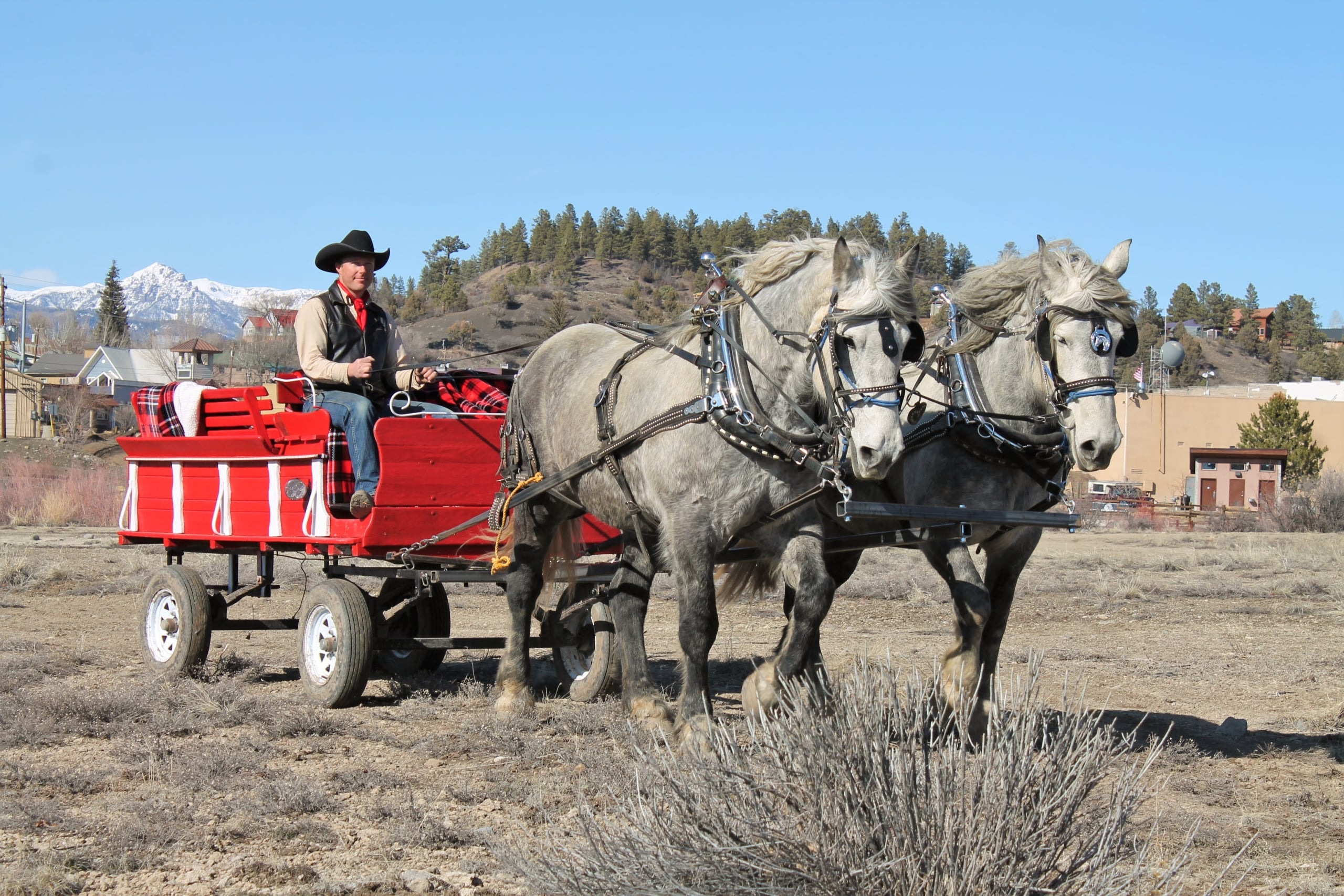 A cowboy drives a red wagon pulled by two gray draft horses across a dry field. Mountains, pine trees, and houses frame the background under a clear sky.