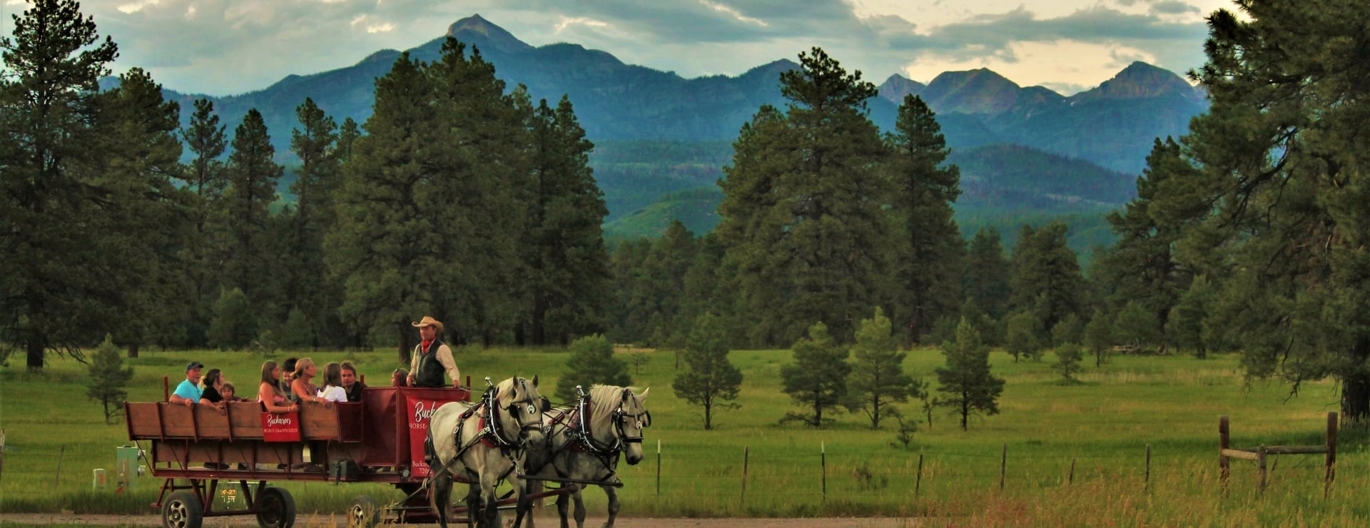 Buckaroos Horse-drawn Carriage