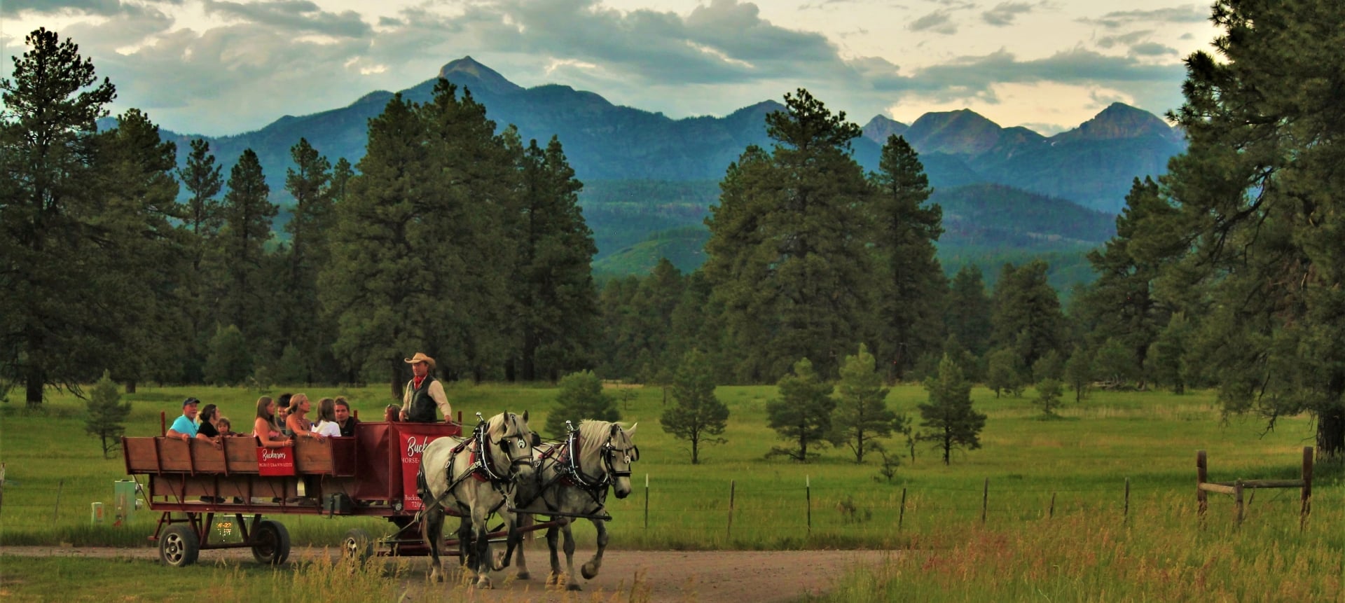 Buckaroos Horse-drawn Carriage