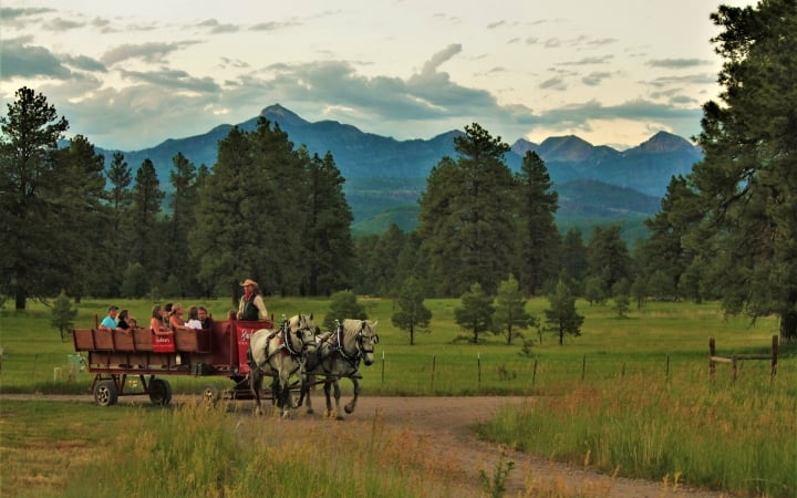 Buckaroos Horse-drawn Carriage