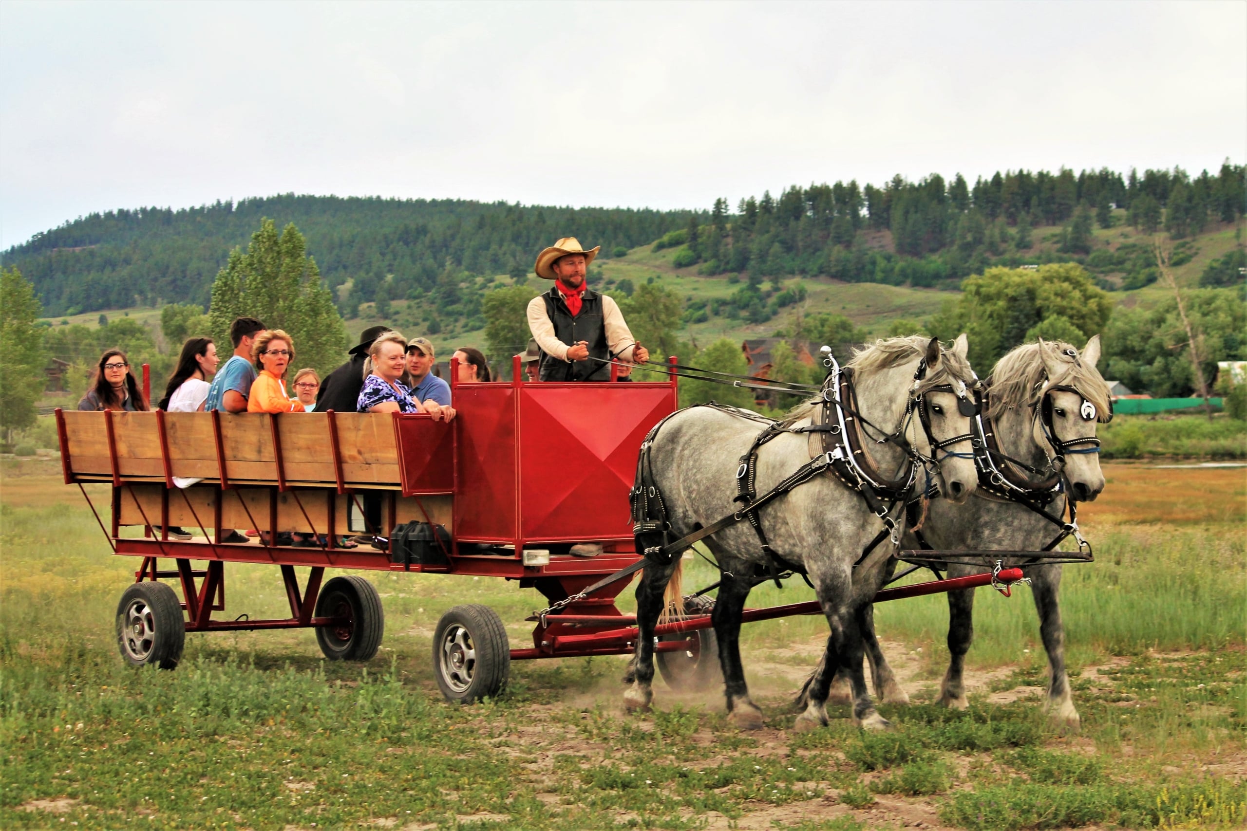 Two grey horses pull a red wagon carrying passengers and a cowboy driver along a dirt path. Green fields and distant forested hills are under a grey sky.