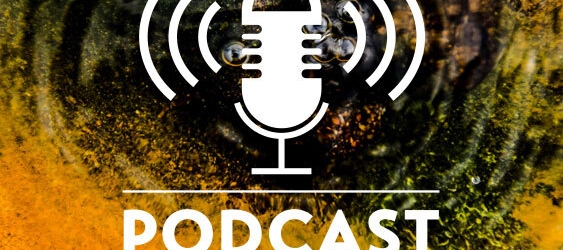 White microphone icon emitting sound waves above the text 