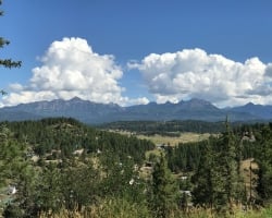 Forest Hike - Shinrin-Yoku