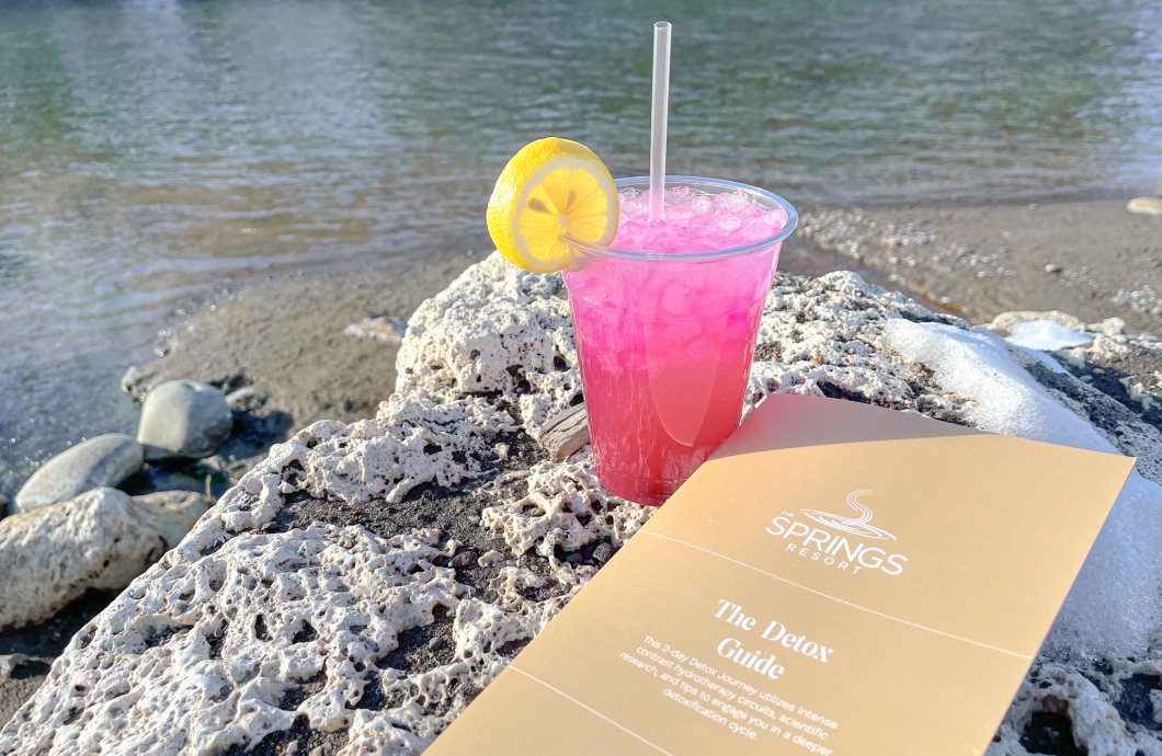 The Detox Guide