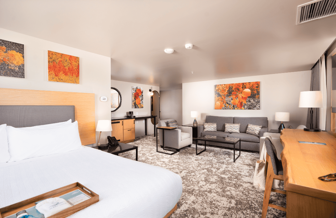 Modern hotel room featuring an Executive King bed, sofa bed, and stylish decor.