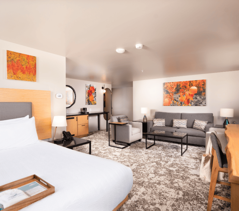 A hotel suite presents a large bed and a living space with a gray sofa and armchair. Colorful artwork adorns light walls over patterned carpet. Text: On a garment: 