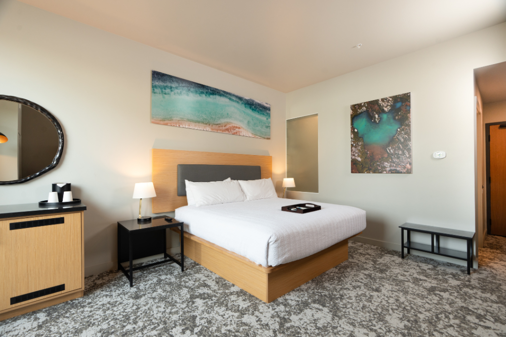 NEW ADA Standard King with Sofa Bed