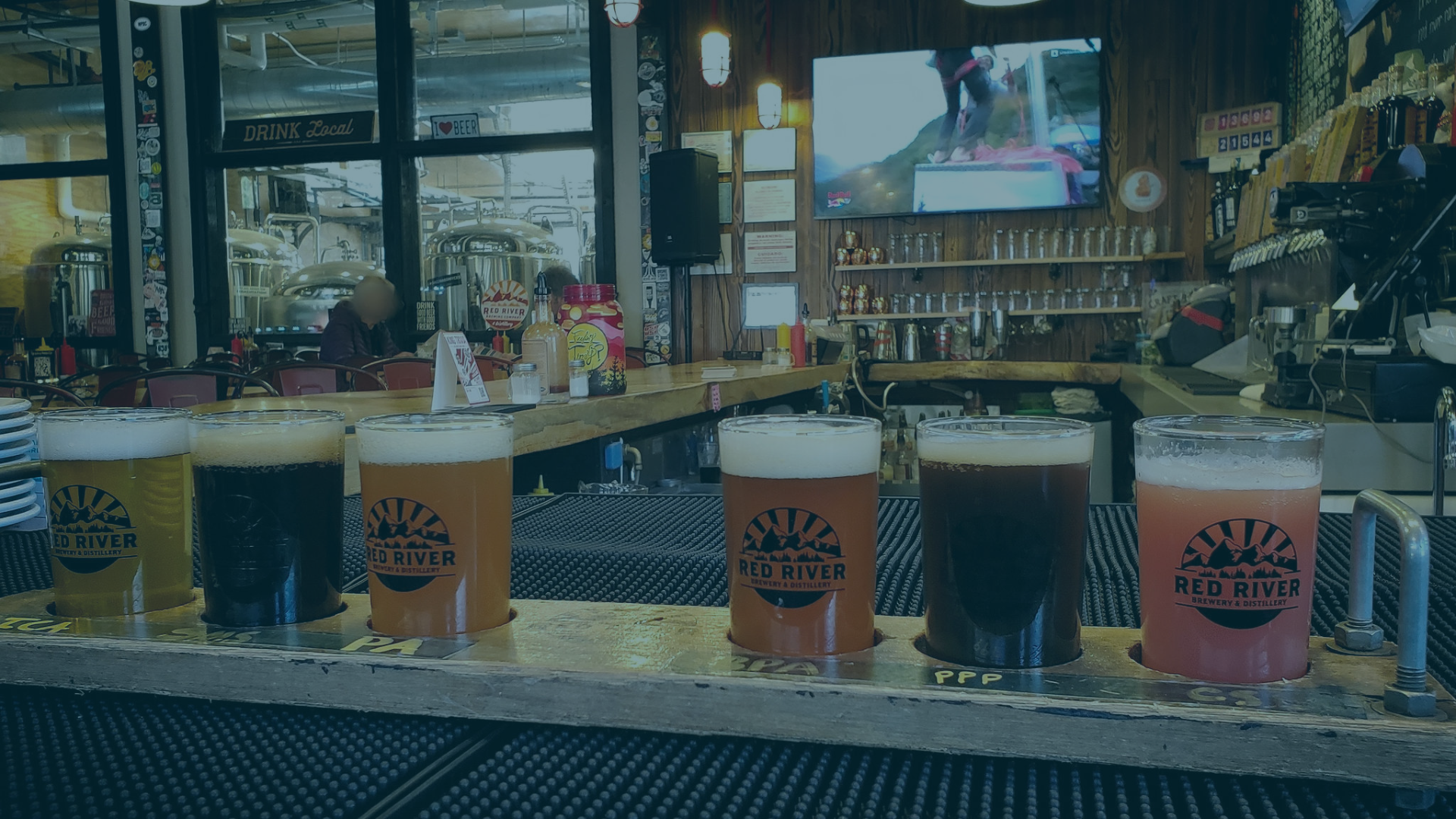 Five diverse beer glasses, each 