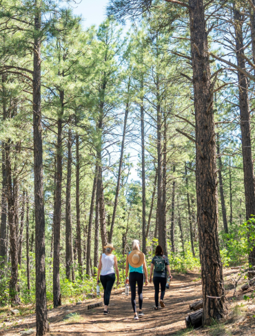 Forrest Hike