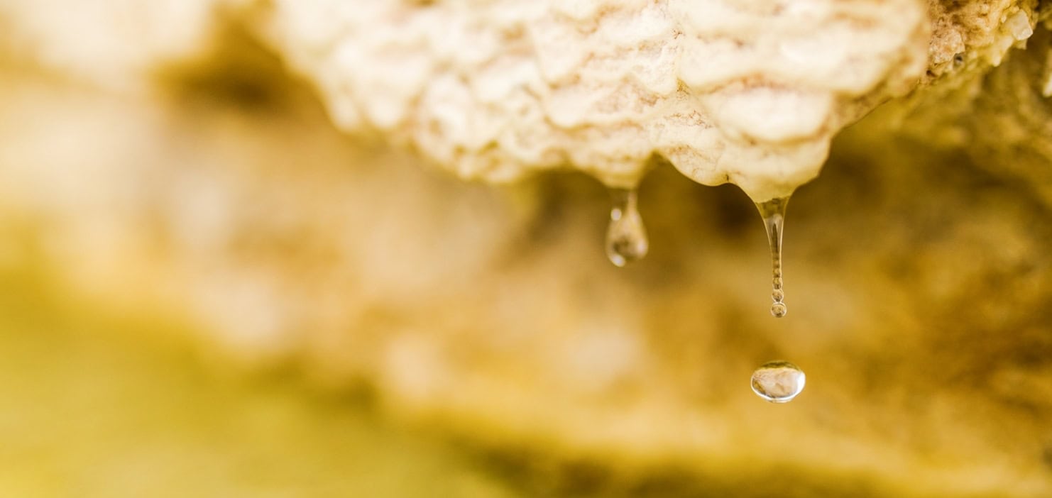Water droplets drip from a textured, wavelike beige formation, with one clear large drop actively falling. The background is a blurred golden-brown.