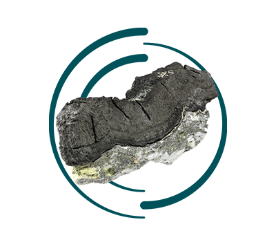 A textured, dark grey piece of bark or charcoal rests on a lighter grey-green stone, framed by a broken dark teal circular graphic on a white background.