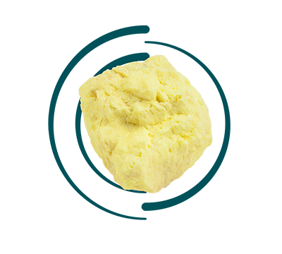 A large, rough chunk of bright yellow sulfur is centered, partially enclosed by two broken, teal concentric circles against a white background.